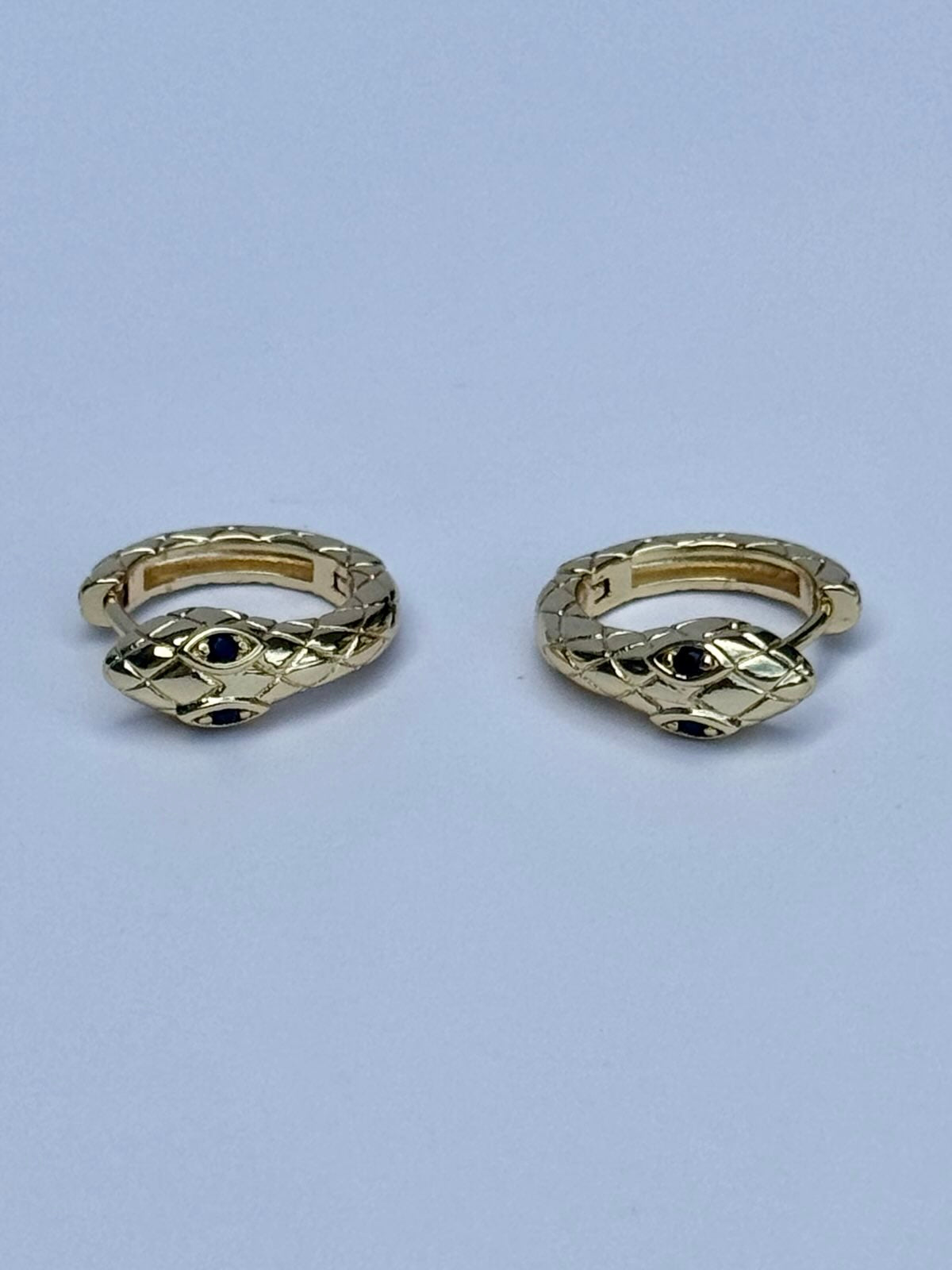 Snake Infinity Hoop Earrings